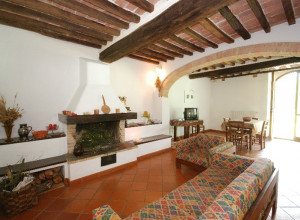 image5 Il Pavone